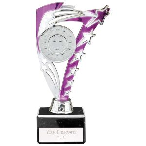 Frenzy Multi Award Trophy Silver and Purple