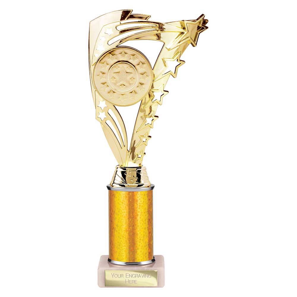 Frenzy Multi Award Tube Trophy Gold 3 Frenzy Multi Award Tube Trophy Gold - Image 3