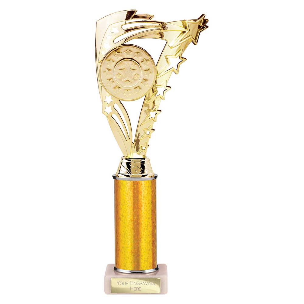 Frenzy Multi Award Tube Trophy Gold 4 Frenzy Multi Award Tube Trophy Gold - Image 4