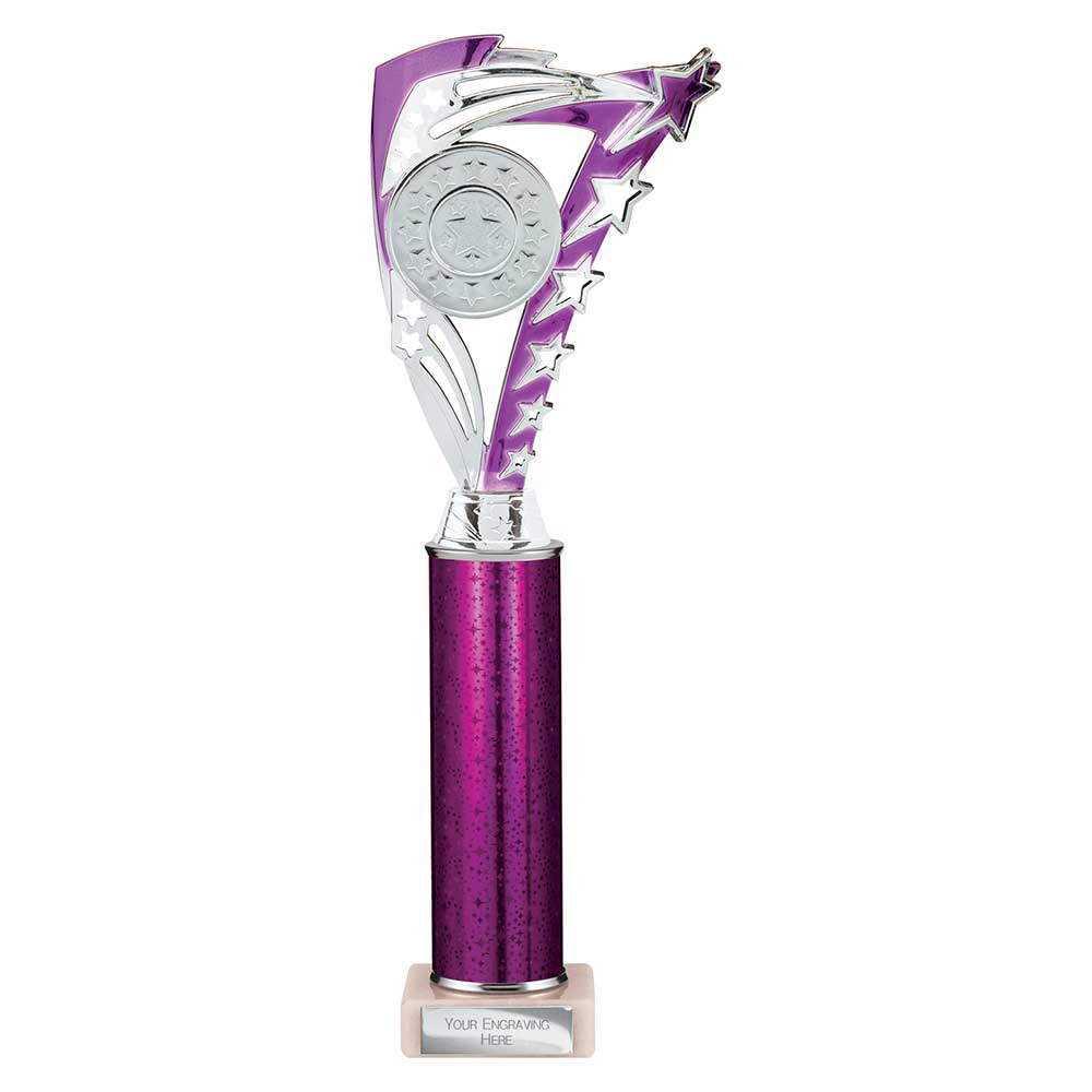 Frenzy Multi Award Tube Trophy Silver and Purple 1 Frenzy Multi Award Tube Trophy Silver and Purple
