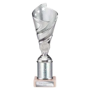 Hurricane Multi Award Tube Trophy Silver