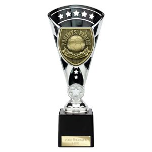 Cobra Star Trophy Cup Parents Player Silver and Black