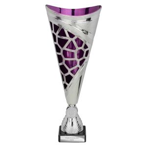 Vivid Trophy Silver and Purple