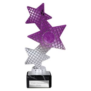 Trinity Star Multi Award Plastic Trophy Silver and Purple