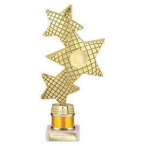 Trinity Star Multi Award Tube Trophy Gold