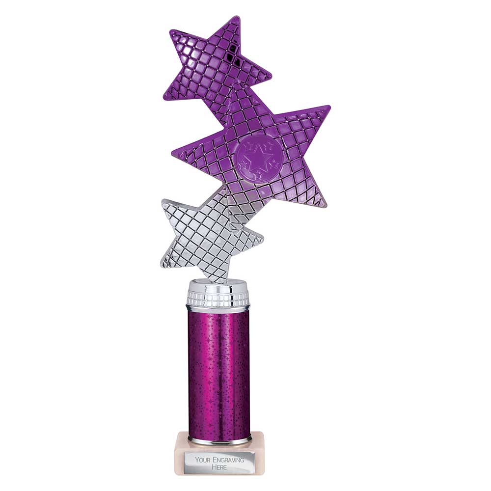 Trinity Star Multi Award Tube Trophy Purple and Silver 5 Trinity Star Multi Award Tube Trophy Purple and Silver - Image 5