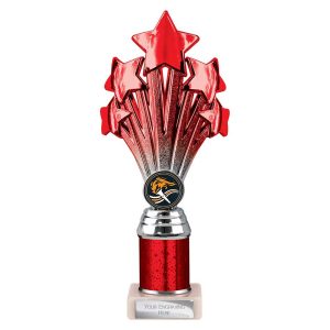 Multi Award Trophies