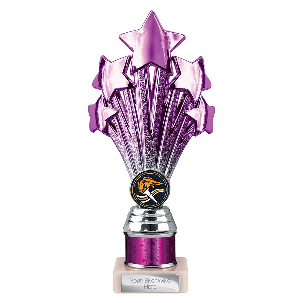 5 Star Multi Award Tube Trophy Purple and Silver 1 5 Star Multi Award Tube Trophy Purple and Silver