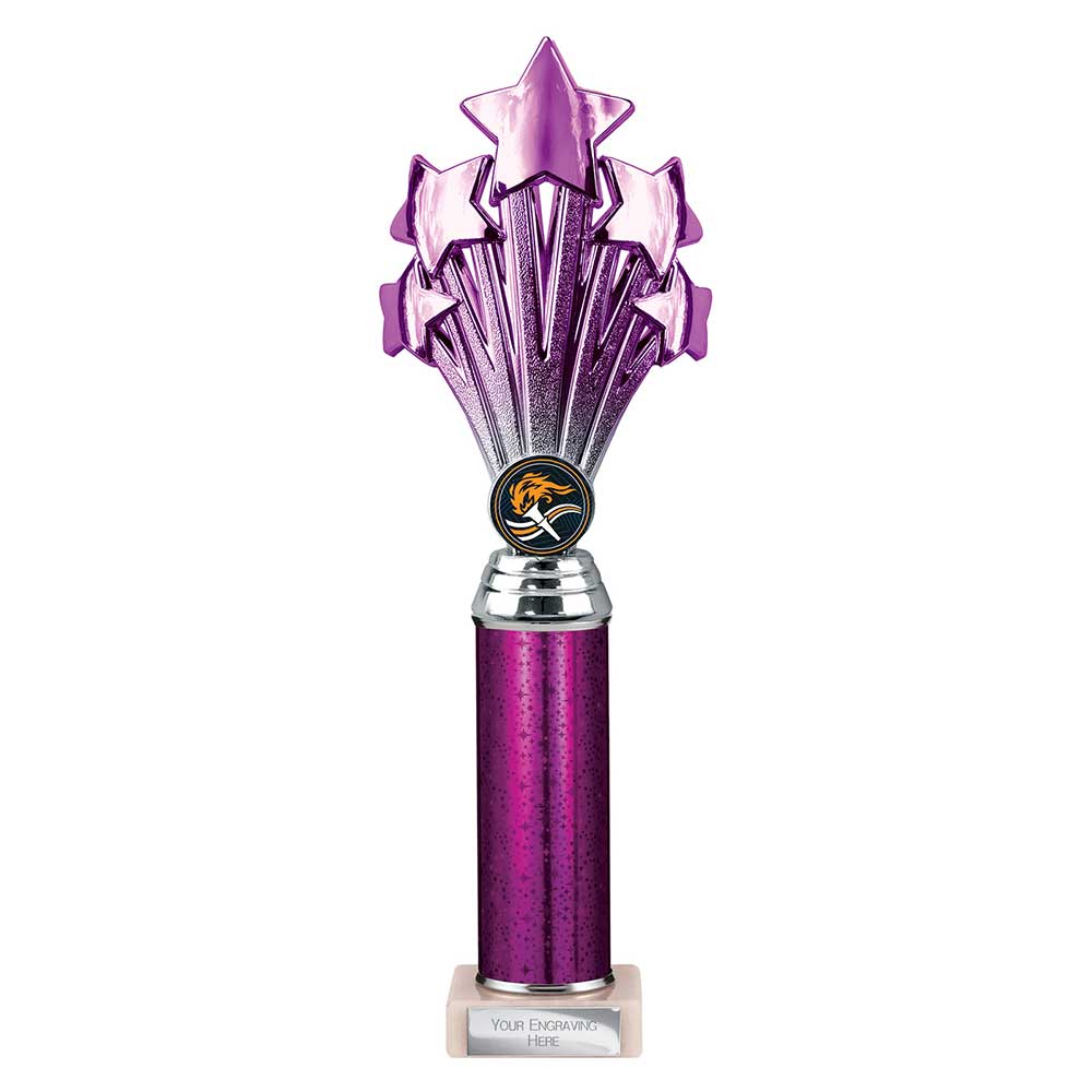5 Star Multi Award Tube Trophy Purple and Silver 6 5 Star Multi Award Tube Trophy Purple and Silver - Image 6