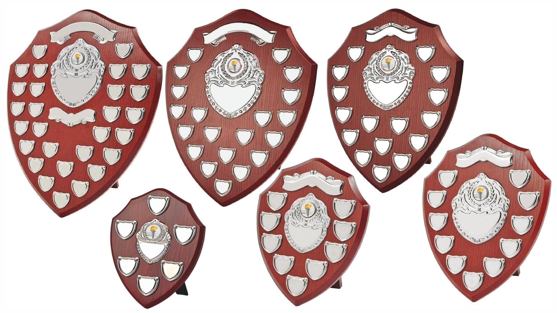 Classic Champions Shield 2 Classic Champions Shield - Image 2